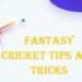 fantasy cricket tips