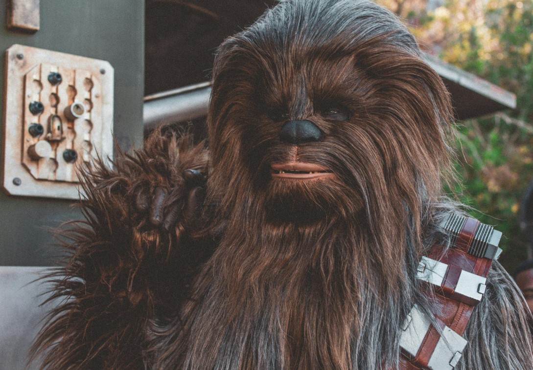chewbacca star wars