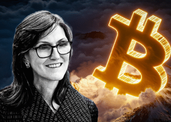 cathie wood trims bitcoin